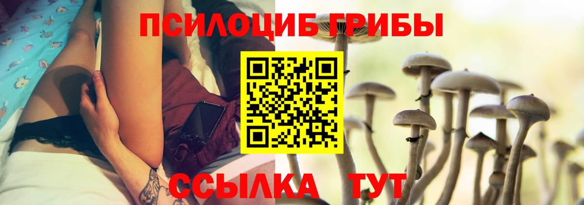 Галлюциногенные грибы GOLDEN TEACHER  Псилоцибиновые грибы ЛСД  Вход с VPN  Сердобск 